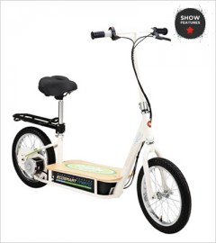 Eco Smart Electric Scooter