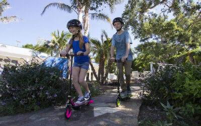 Riding into the Holidays: Razor Products to Gift & Cherish