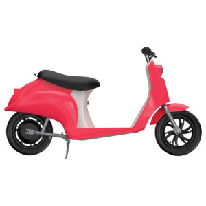 Pocket Mod in Roma side right